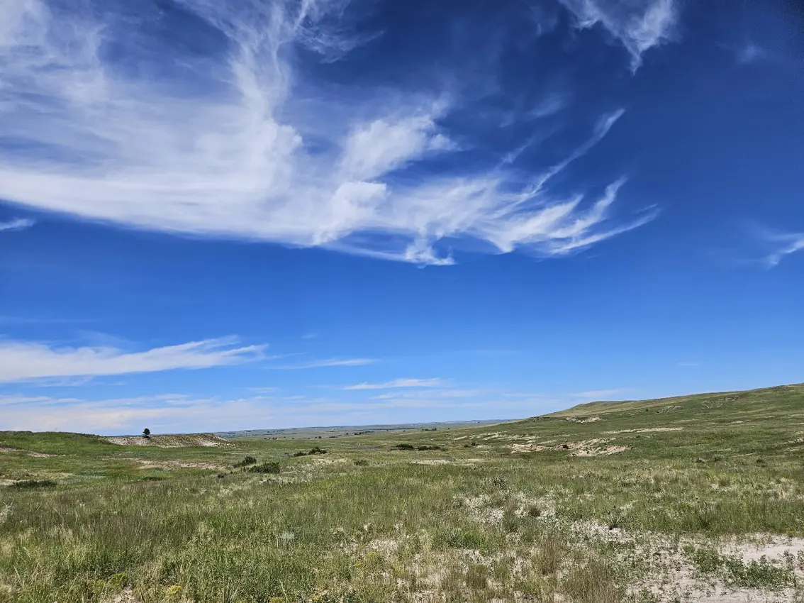 Wide open grassland and blue sky